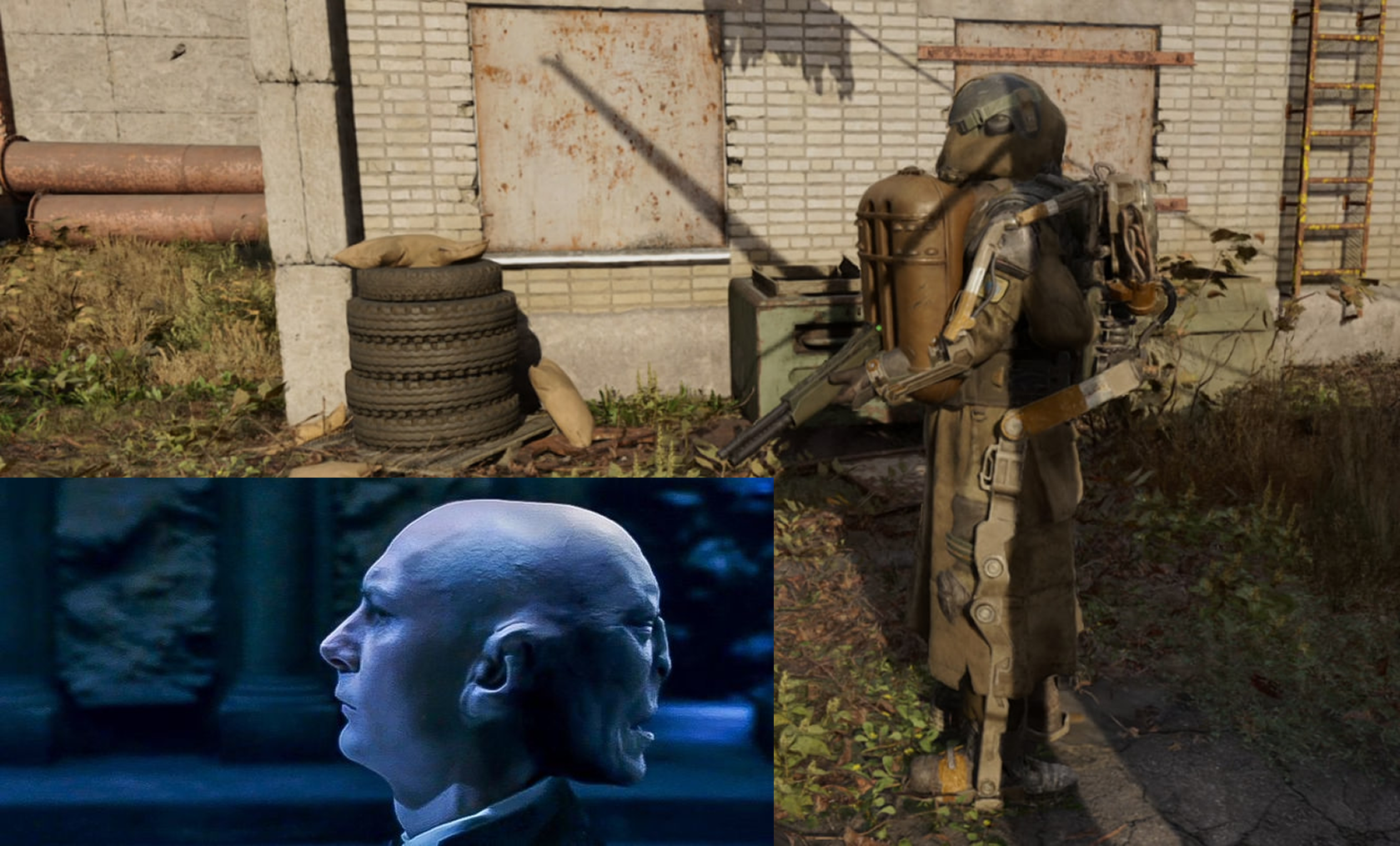 stalker 2 bugs Blank Meme Template