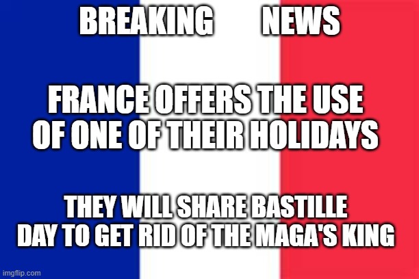 Bastille Day | BREAKING        NEWS; FRANCE OFFERS THE USE OF ONE OF THEIR HOLIDAYS; THEY WILL SHARE BASTILLE DAY TO GET RID OF THE MAGA'S KING | image tagged in france flag | made w/ Imgflip meme maker