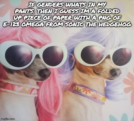 Groovy dawgs | IF GENDERS WHATS IN MY PANTS. THEN I GUESS IM A FOLDED UP PIECE OF PAPER WITH A PNG OF E-123 OMEGA FROM SONIC THE HEDGEHOG | image tagged in groovy dawgs | made w/ Imgflip meme maker