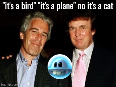 "it's a bird" "it's a plane" no it's a cat | made w/ Imgflip meme maker