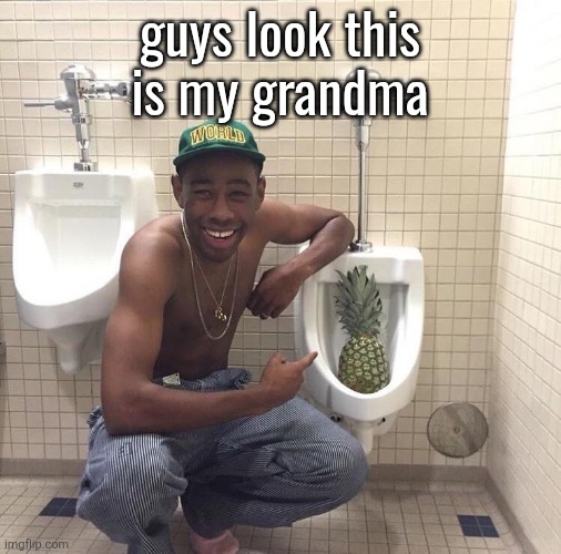Tyler, the Creator and a pineapple on a urinator | guys look this is my grandma | image tagged in tyler the creator and a pineapple on a urinator | made w/ Imgflip meme maker