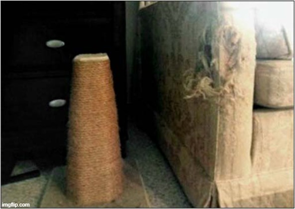 Scratching Posts ! | image tagged in cats,scratching,post,furniture | made w/ Imgflip meme maker