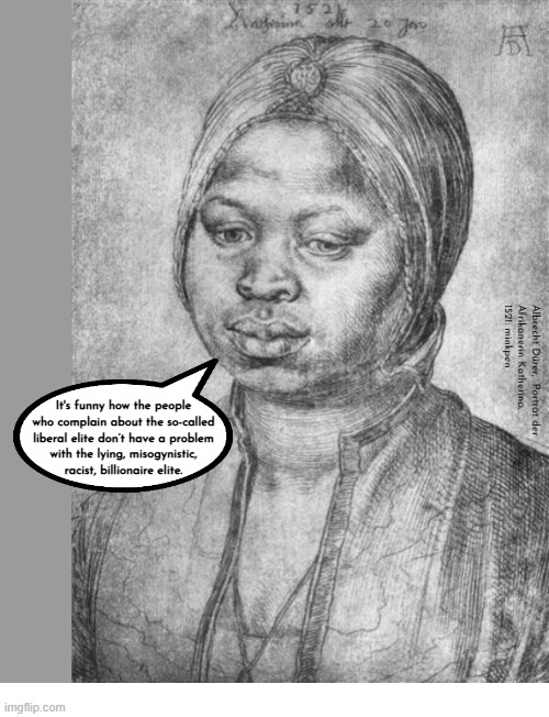 Indeed | image tagged in artmemes,trump,musk,maga,usa | made w/ Imgflip meme maker