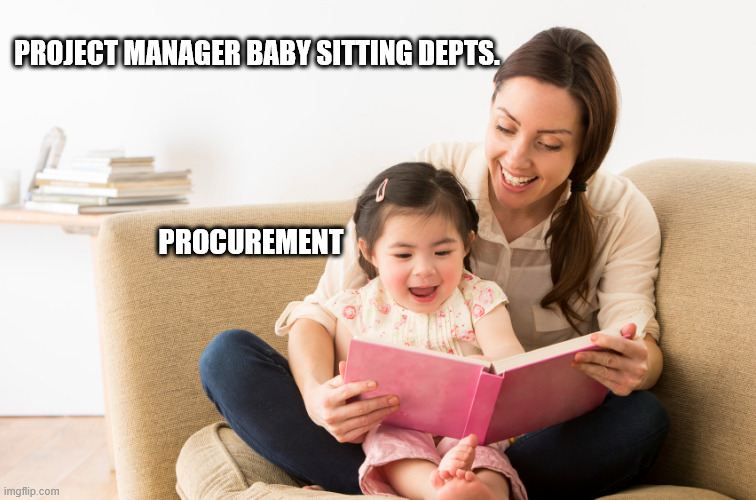 Babysitter | PROJECT MANAGER BABY SITTING DEPTS. PROCUREMENT | image tagged in babysitter,project management | made w/ Imgflip meme maker