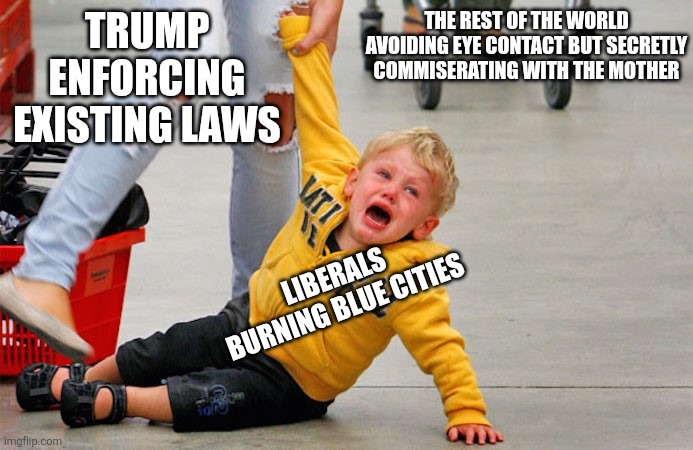 on display for all to see | THE REST OF THE WORLD AVOIDING EYE CONTACT BUT SECRETLY COMMISERATING WITH THE MOTHER; TRUMP ENFORCING EXISTING LAWS; LIBERALS BURNING BLUE CITIES | image tagged in kid on floor in supermarket | made w/ Imgflip meme maker