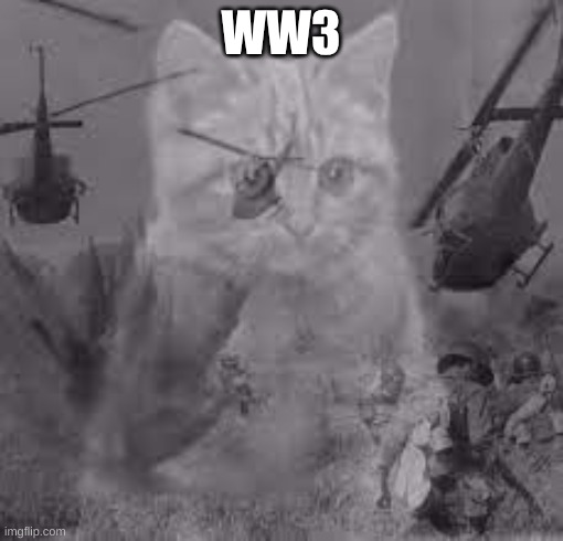 Cat war flashback | WW3 | image tagged in cat war flashback | made w/ Imgflip meme maker