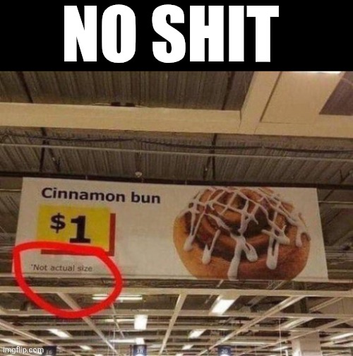 No Shit | NO SHIT | image tagged in chrisjoines1 | made w/ Imgflip meme maker