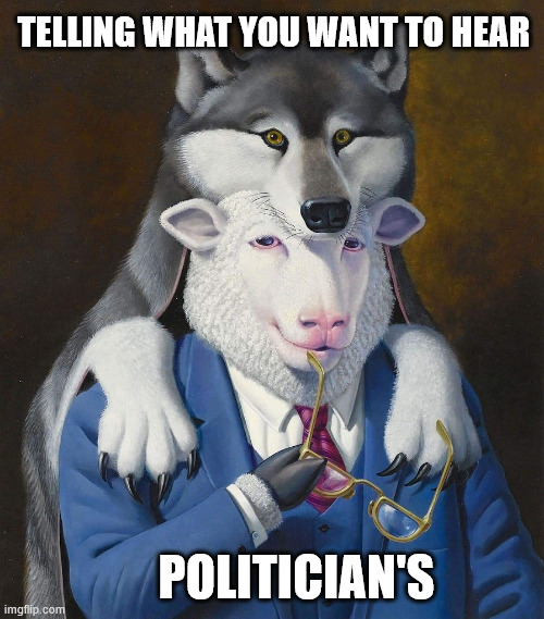 They tell you what you want to hear, change when elected and change again for re-election. | TELLING WHAT YOU WANT TO HEAR POLITICIAN'S | image tagged in politics | made w/ Imgflip meme maker