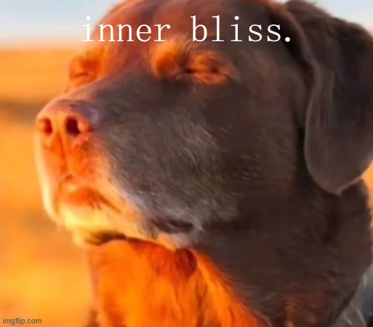 Dog Taking Sun with Closed Eyes | inner bliss. | image tagged in dog taking sun with closed eyes | made w/ Imgflip meme maker
