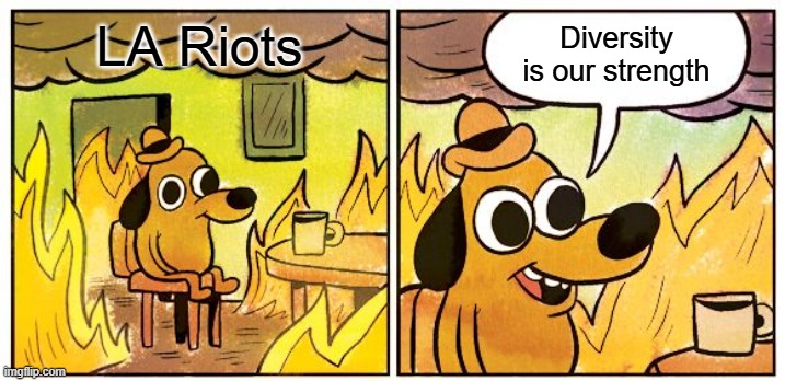 This Is Fine | LA Riots; Diversity is our strength | image tagged in memes,this is fine | made w/ Imgflip meme maker