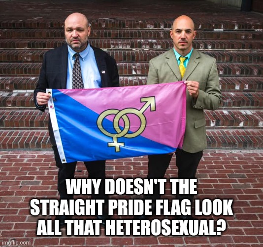 These two repressed fellas... | WHY DOESN'T THE
STRAIGHT PRIDE FLAG LOOK
ALL THAT HETEROSEXUAL? | image tagged in straight pride flag,gay pride,closeted gay,pride month,conservative logic | made w/ Imgflip meme maker