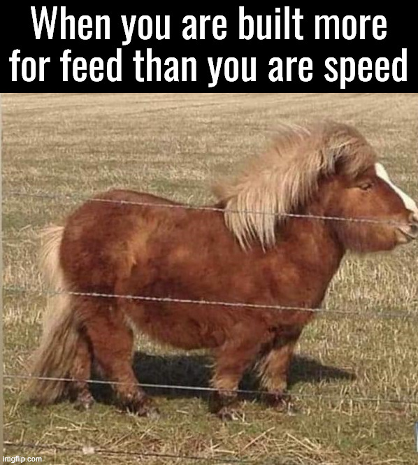 I am not speed | When you are built more for feed than you are speed | image tagged in i am speed | made w/ Imgflip meme maker