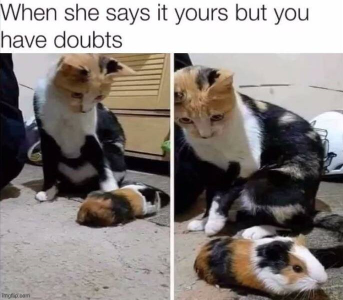Maybe it is not mine | image tagged in doubts | made w/ Imgflip meme maker