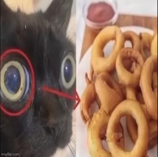 Orion the onion ring | made w/ Imgflip meme maker