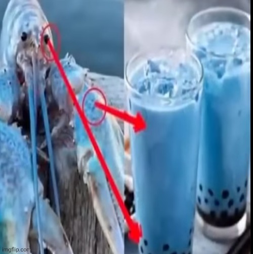 Mobster the Mojito | made w/ Imgflip meme maker