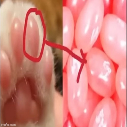 Asteroid destroyer the Candy | made w/ Imgflip meme maker