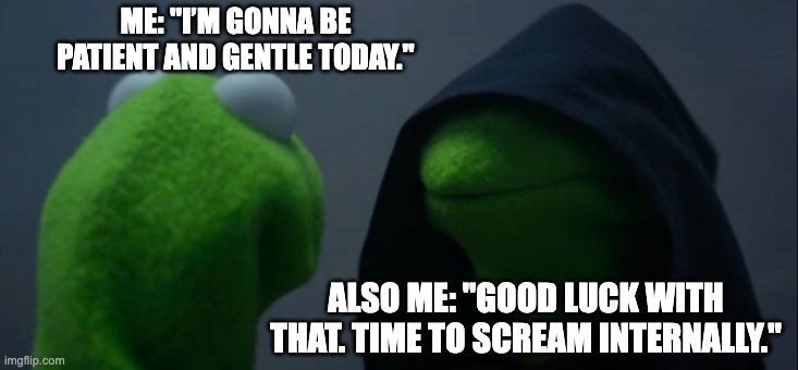 Evil Kermit | ME: "I’M GONNA BE PATIENT AND GENTLE TODAY."; ALSO ME: "GOOD LUCK WITH THAT. TIME TO SCREAM INTERNALLY." | image tagged in memes,evil kermit | made w/ Imgflip meme maker
