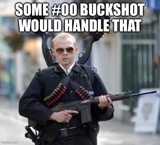 guy walking with shotguns movie | SOME #00 BUCKSHOT WOULD HANDLE THAT | image tagged in guy walking with shotguns movie | made w/ Imgflip meme maker