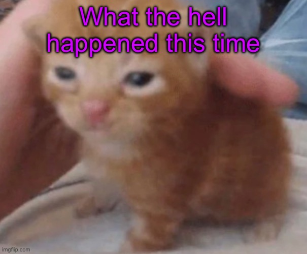 I was gone for 5 FUCKING MINUTES | What the hell happened this time | image tagged in herbert | made w/ Imgflip meme maker