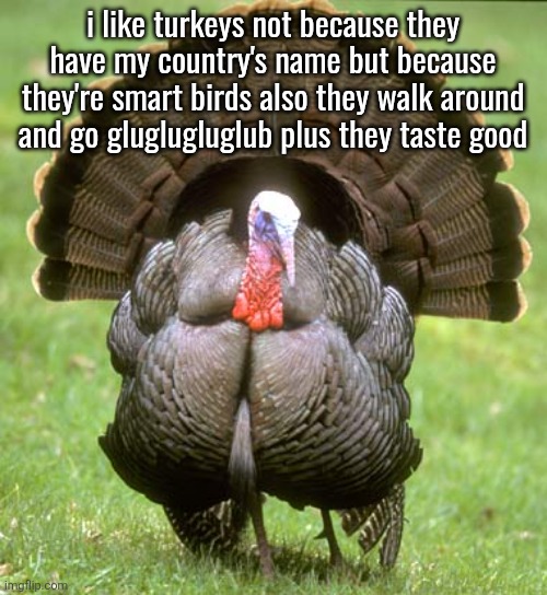 Turkey | i like turkeys not because they have my country's name but because they're smart birds also they walk around and go gluglugluglub plus they taste good | image tagged in memes,turkey | made w/ Imgflip meme maker