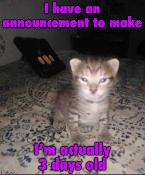 Fresh out of the womb | I have an announcement to make; I’m actually 3 days old | image tagged in herbert s brother | made w/ Imgflip meme maker