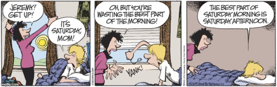 Zits | image tagged in comics | made w/ Imgflip meme maker