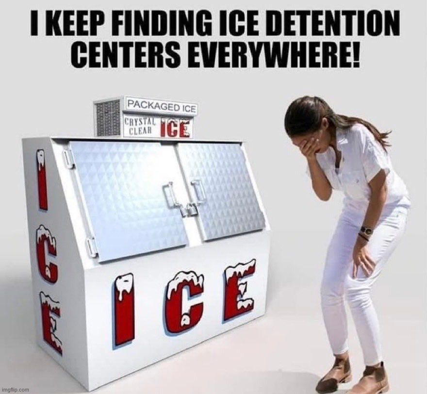 She never understands | image tagged in ice agents,politics | made w/ Imgflip meme maker