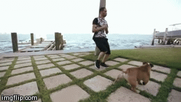Like I Want To | image tagged in gifs | made w/ Imgflip video-to-gif maker