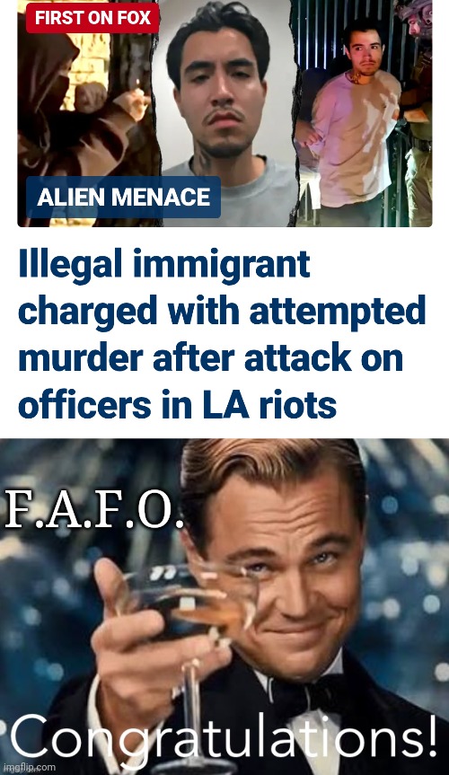 F.A.F.O. you moron | F.A.F.O. | image tagged in leonardo di caprio cheers congratulations,leftists,ice,illegal immigration,liberals,democrats | made w/ Imgflip meme maker