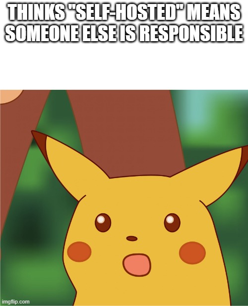 Self-hosted means me? | THINKS "SELF-HOSTED" MEANS SOMEONE ELSE IS RESPONSIBLE | image tagged in surprised pikachu high quality | made w/ Imgflip meme maker