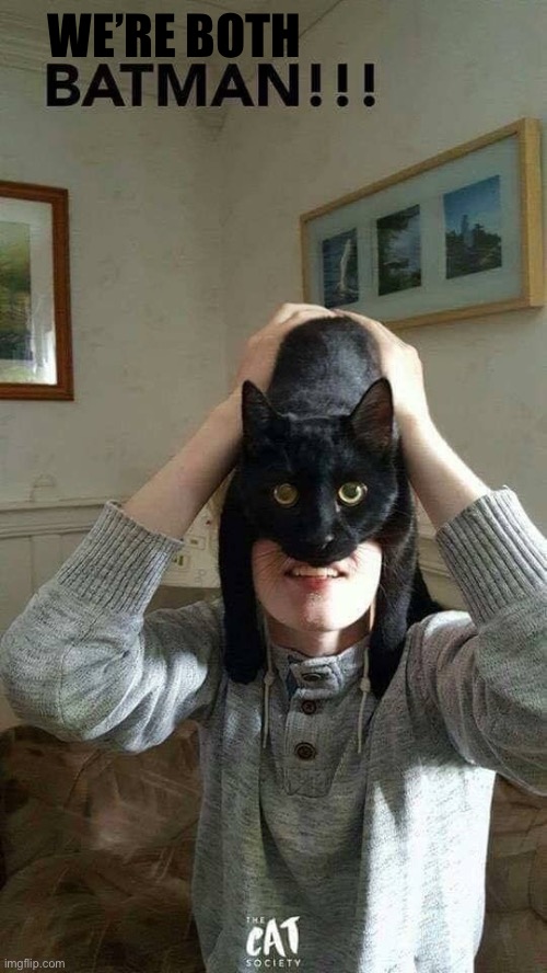 He loves being a super hero… | WE’RE BOTH | image tagged in cats,batman | made w/ Imgflip meme maker