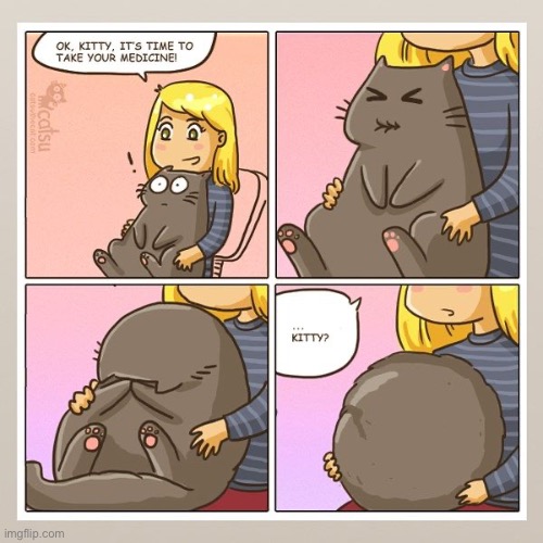 Kitty hates those meds… | image tagged in cats,comics,medicine,catball | made w/ Imgflip meme maker