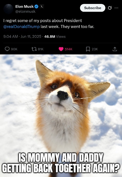 image tagged in donald trump,elon musk,funny,curious fox | made w/ Imgflip meme maker