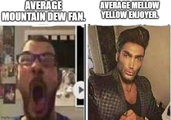 avrage fan vs enjoyer | AVERAGE MOUNTAIN DEW FAN. AVERAGE MELLOW YELLOW ENJOYER. | image tagged in memes,mountain dew,soda | made w/ Imgflip meme maker