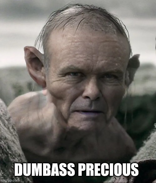 DUMBASS PRECIOUS | image tagged in gollum lord of the rings,dumbass,my precious | made w/ Imgflip meme maker