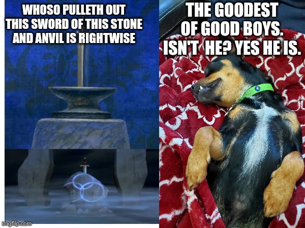 Sword in stone for good boys | THE GOODEST OF GOOD BOYS. ISN'T  HE? YES HE IS. WHOSO PULLETH OUT THIS SWORD OF THIS STONE
AND ANVIL IS RIGHTWISE | image tagged in doggos,cute dog,dog memes | made w/ Imgflip meme maker