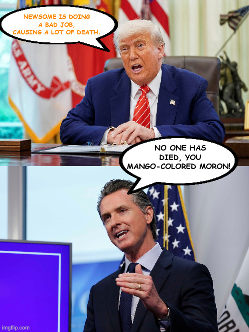NEWSOME IS DOING A BAD JOB, CAUSING A LOT OF DEATH. NO ONE HAS DIED, YOU MANGO-COLORED MORON! | made w/ Imgflip meme maker