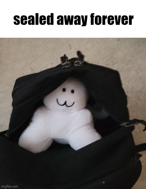 sealed away forever | made w/ Imgflip meme maker