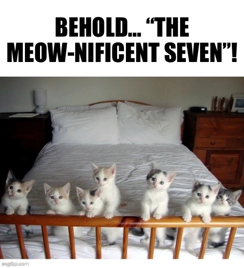 Aka, “The Wild Bunch”… | BEHOLD… “THE MEOW-NIFICENT SEVEN”! | image tagged in cats,kittens,magnificent seven | made w/ Imgflip meme maker
