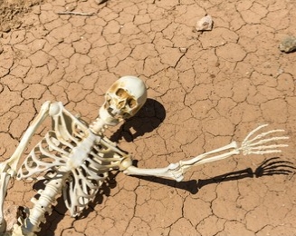 Skeleton Blank Meme Template