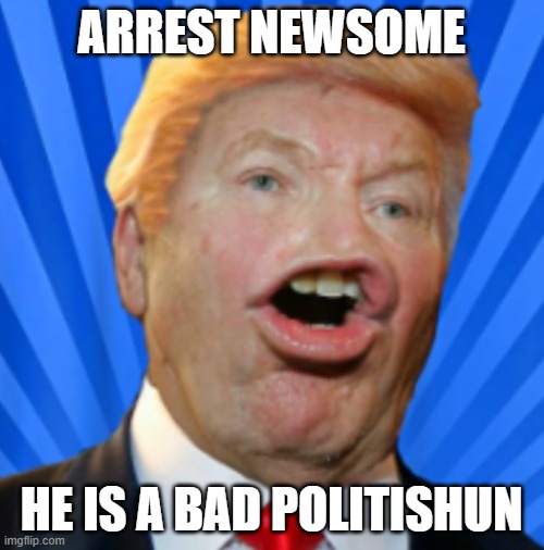 Pathetic Don | ARREST NEWSOME HE IS A BAD POLITISHUN | image tagged in pathetic don | made w/ Imgflip meme maker
