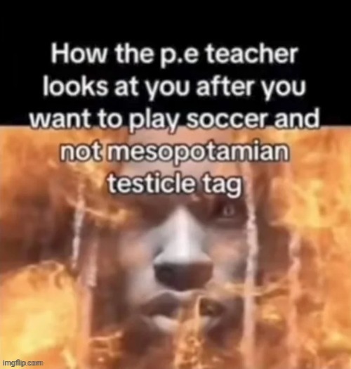 my last meme was like a month ago | image tagged in h | made w/ Imgflip meme maker