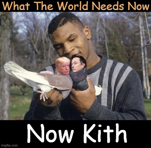 Lend Me Your Ear | What The World Needs Now; Now Kith | image tagged in mike tyson,donald trump,elon musk,fighting,political humor,make up | made w/ Imgflip meme maker