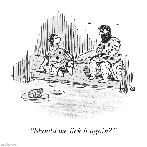 Lick the Toad | image tagged in comics | made w/ Imgflip meme maker