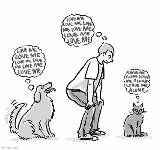 Love Me | image tagged in comics | made w/ Imgflip meme maker