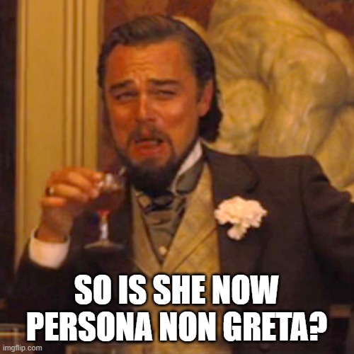 SO IS SHE NOW PERSONA NON GRETA? | image tagged in memes,laughing leo | made w/ Imgflip meme maker
