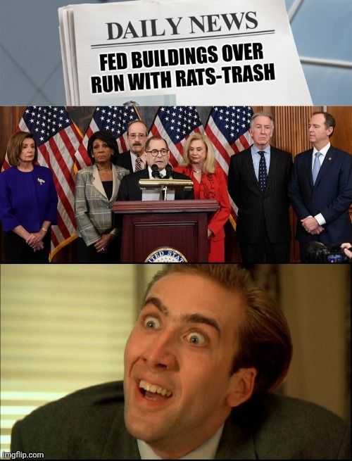 Today's "Not Really News" | image tagged in house democrats,you don't say - nicholas cage,rats and trash,politicians suck,of course,what did you think | made w/ Imgflip meme maker
