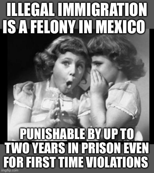 Deport them all. | ILLEGAL IMMIGRATION IS A FELONY IN MEXICO; PUNISHABLE BY UP TO TWO YEARS IN PRISON EVEN FOR FIRST TIME VIOLATIONS | image tagged in friends sharing,illegal immigration | made w/ Imgflip meme maker