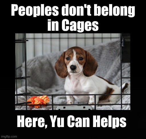 Pup in Cage Not People | Peoples don't belong
in Cages; Here, Yu Can Helps | image tagged in pup u can helps,pup no peoples in cages | made w/ Imgflip meme maker