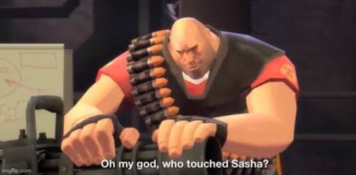 Who touched sasha | image tagged in who touched sasha | made w/ Imgflip meme maker